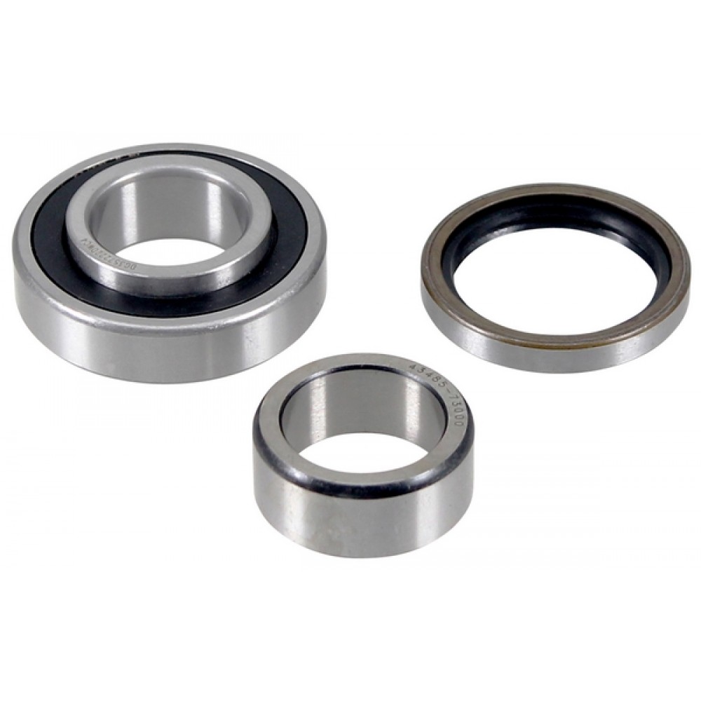 Wheel Bearing Kit ABS