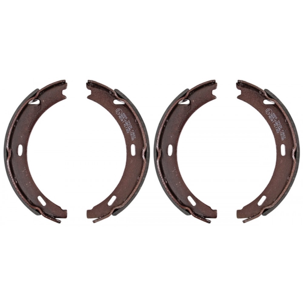 Brake Shoes ABS