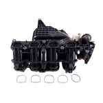 Intake Manifold Module