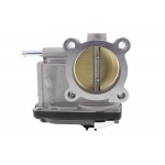 Throttle body