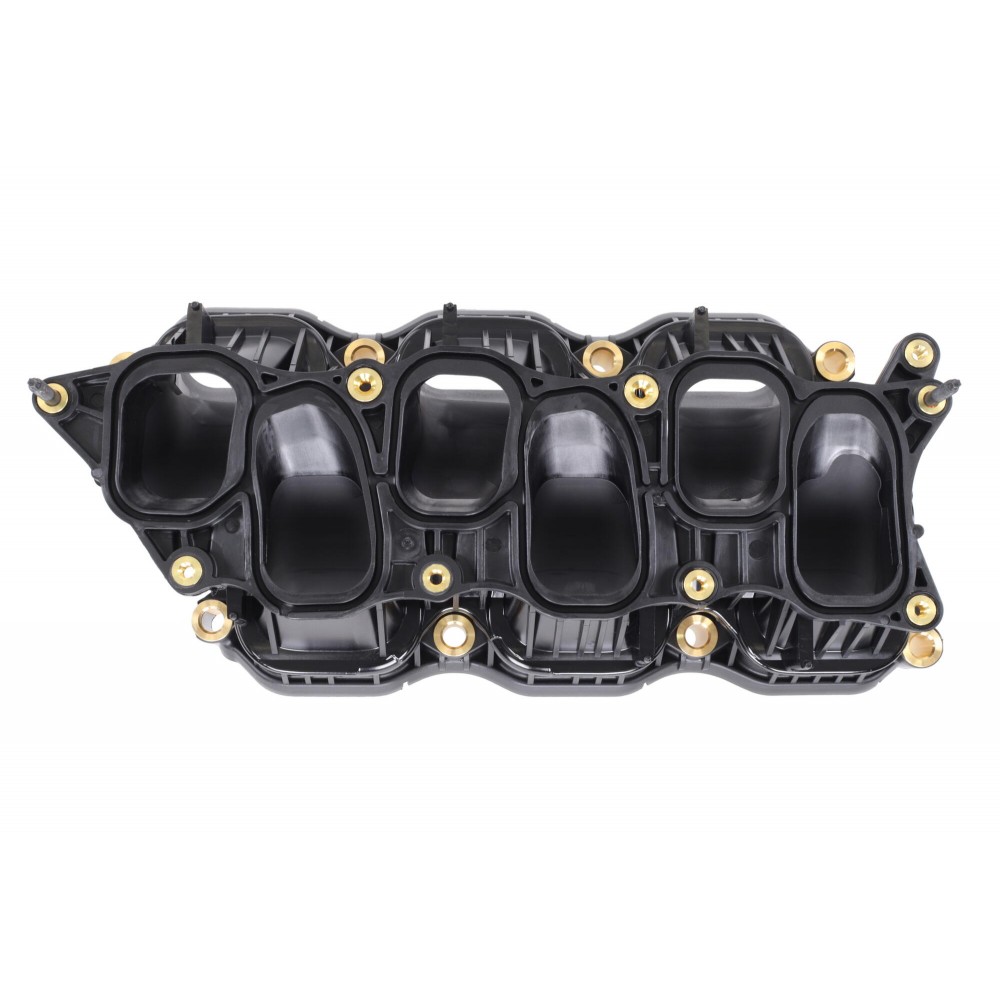 Intake Manifold Module