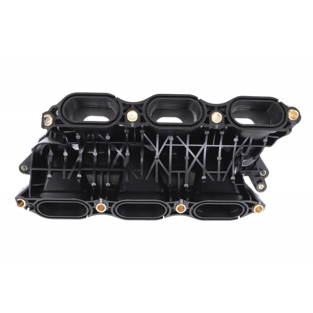 Intake Manifold Module