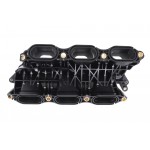 Intake Manifold Module