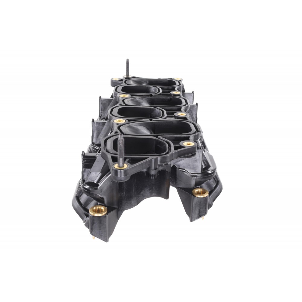 Intake Manifold Module