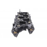 Intake Manifold Module