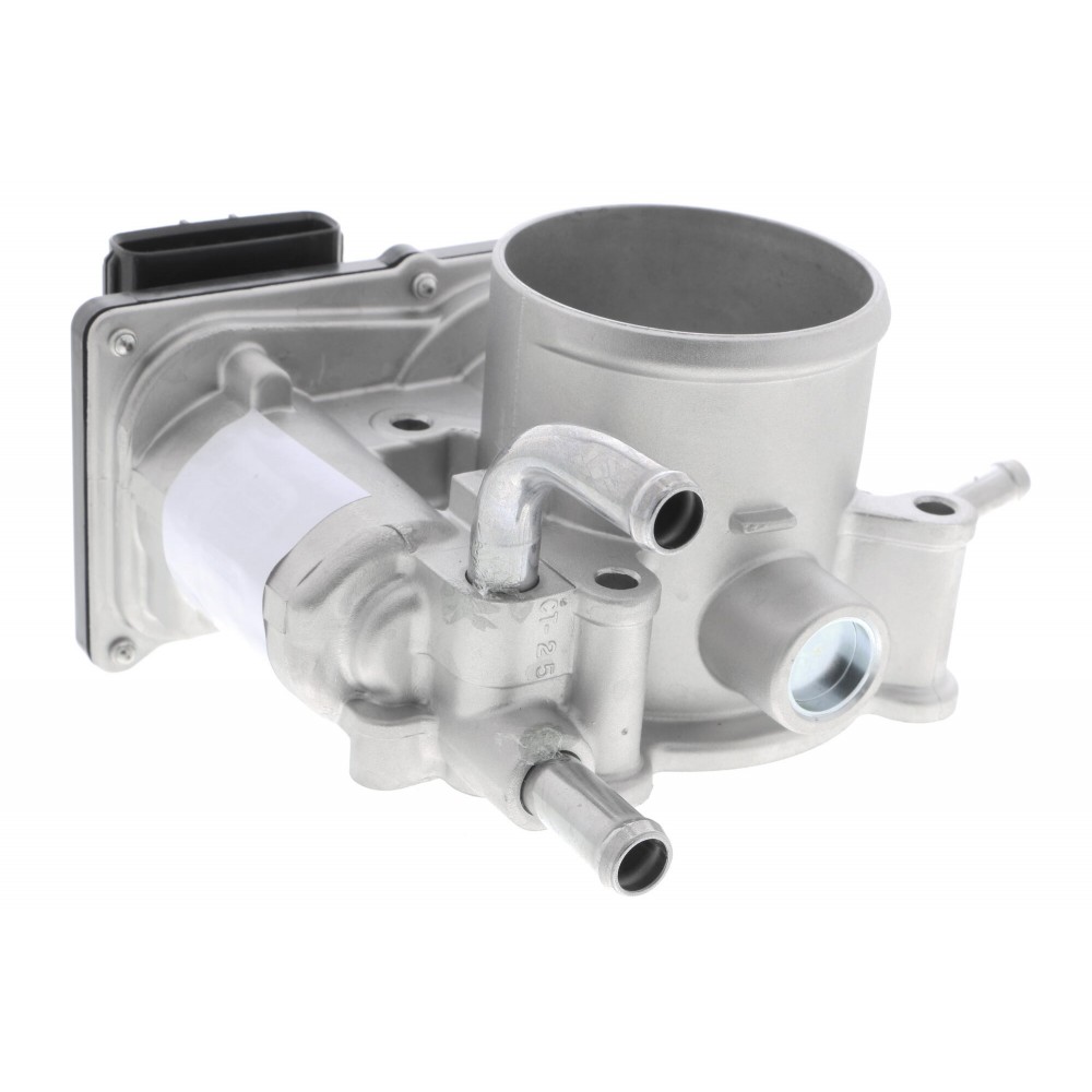 Throttle body