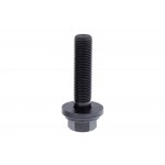 Camshaft Adjuster