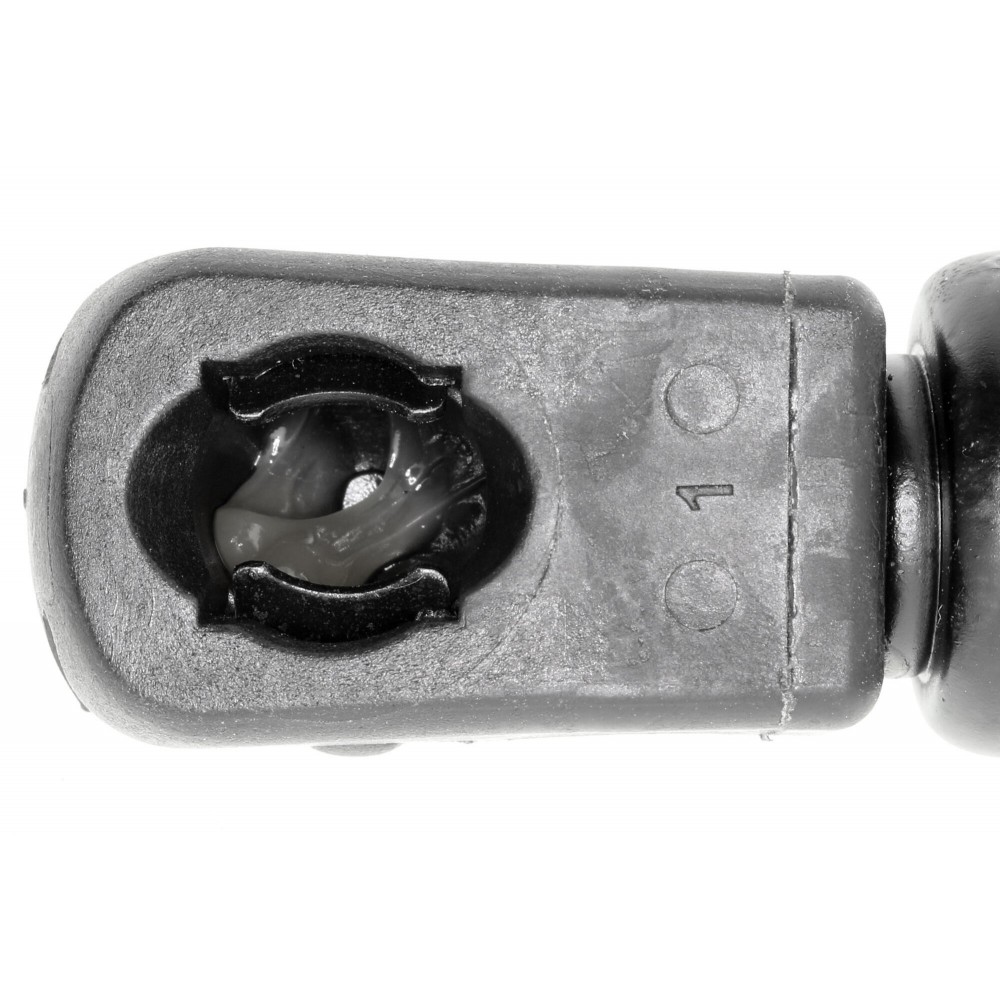 Gas Spring, bonnet