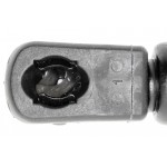 Gas Spring, bonnet