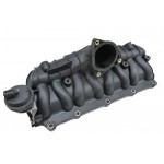 Intake Manifold Module