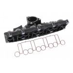 Intake Manifold Module