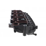 Intake Manifold Module