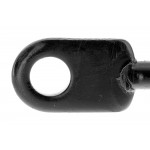 Gas Spring, bonnet