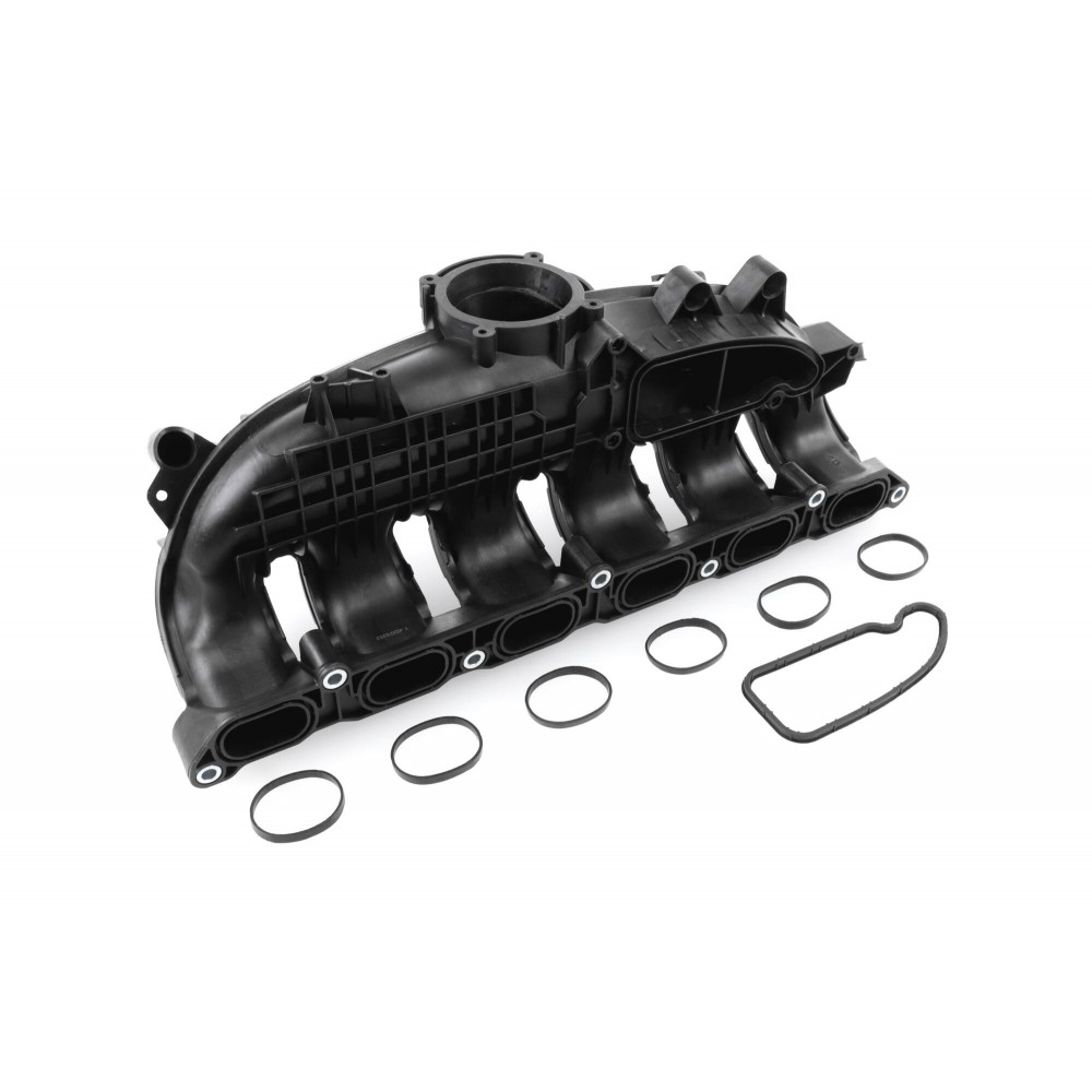 Intake Manifold Module