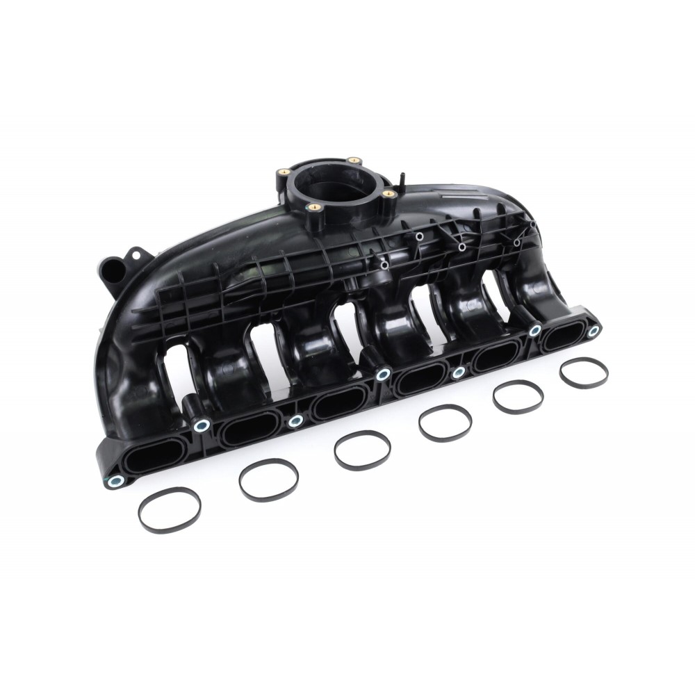 Intake Manifold Module