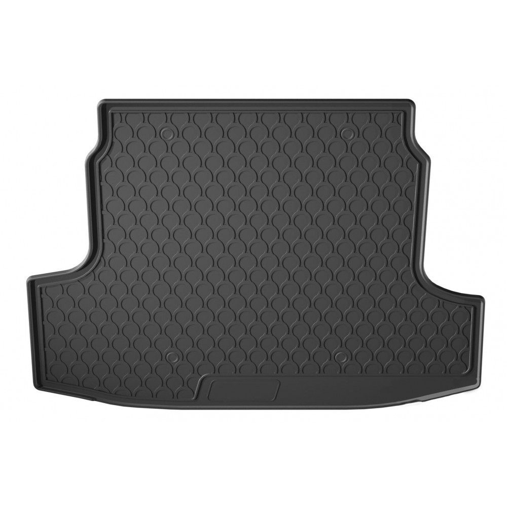 Boot Liner/cargo liner