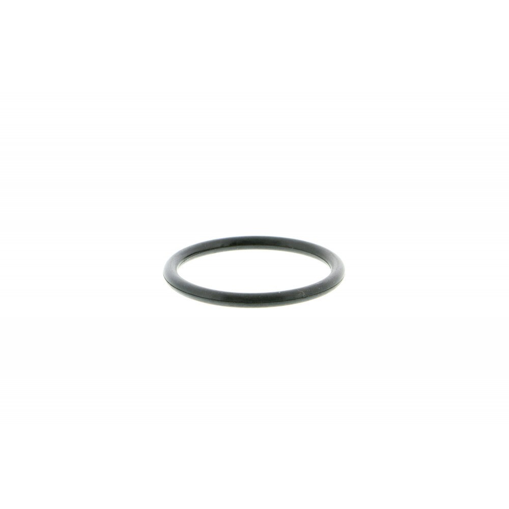 Coolant Flange