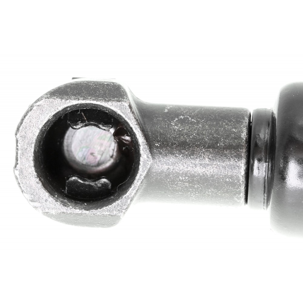 Gas Spring, bonnet