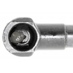 Gas Spring, bonnet