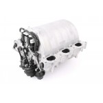 Intake Manifold Module