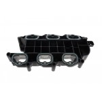 Intake Manifold Module