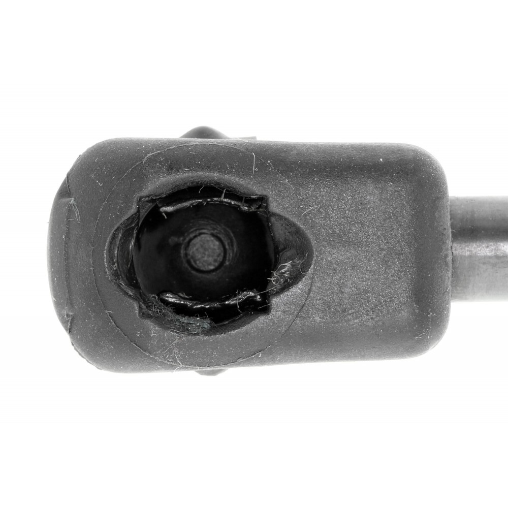 Gas Spring, bonnet