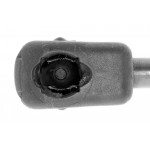 Gas Spring, bonnet