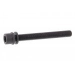 Camshaft Adjuster