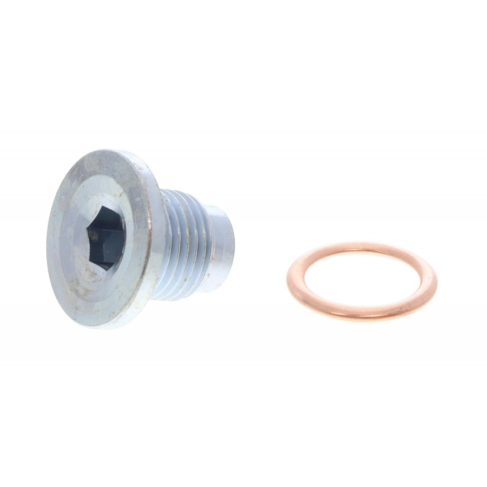 Screw Plug, oil sump