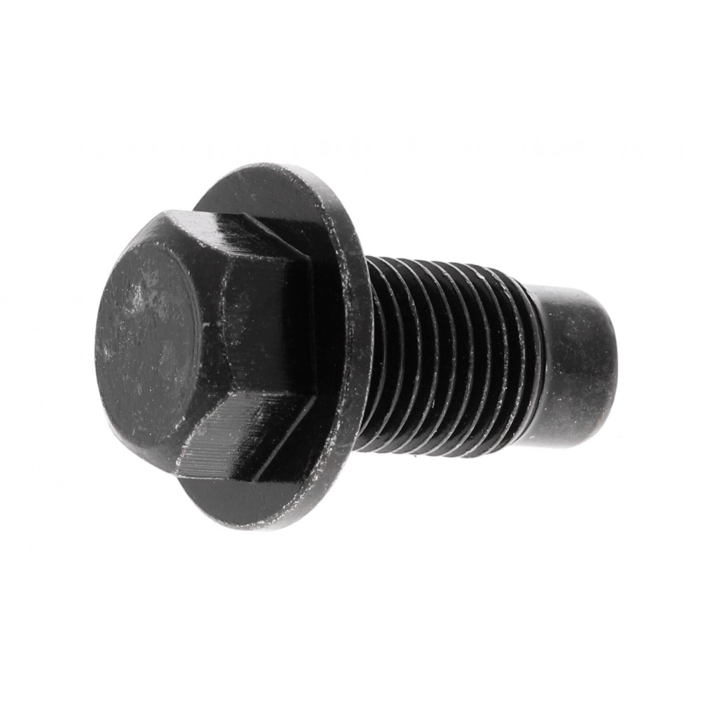 Screw Plug, oil sump