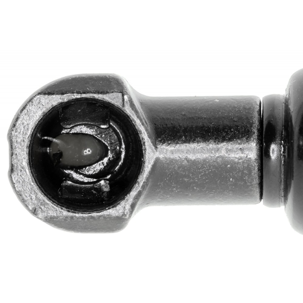 Gas Spring, bonnet