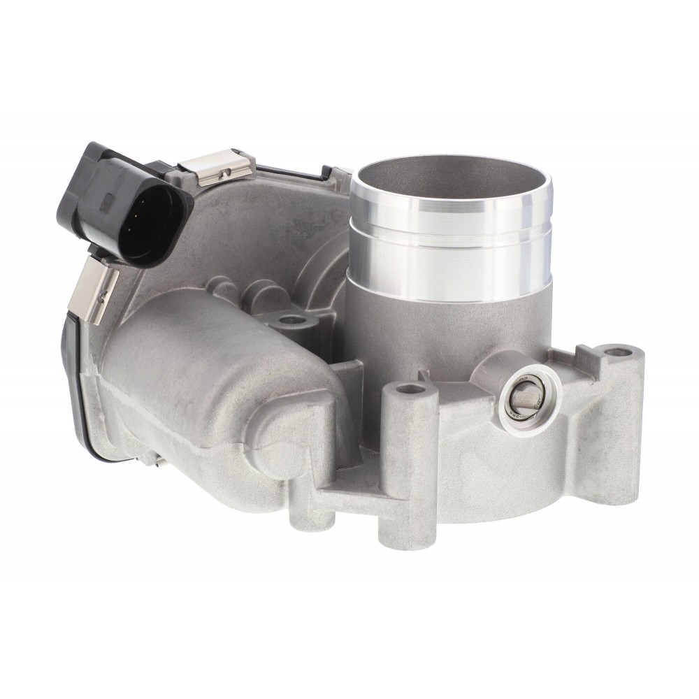 Throttle body