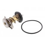 Thermostat, coolant