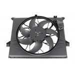 Fan, engine cooling