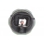 Oil Pressure Switch