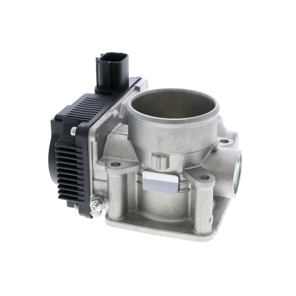 Throttle body