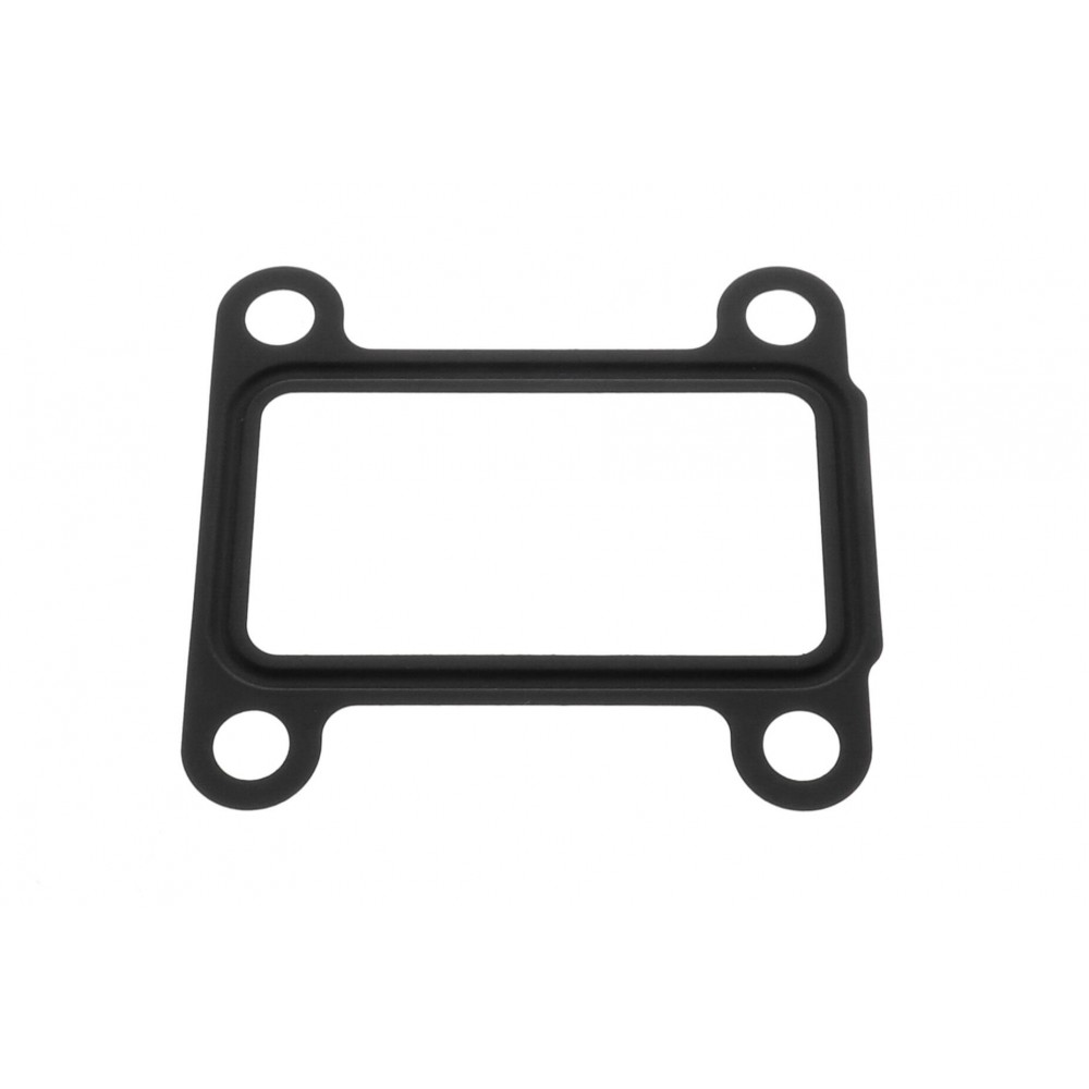 Gasket, EGR valve