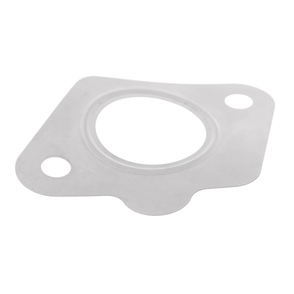 Gasket, EGR valve