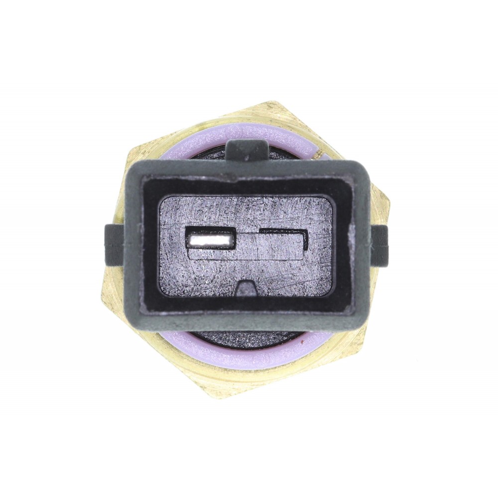 Temperature Switch, coolant warning lamp