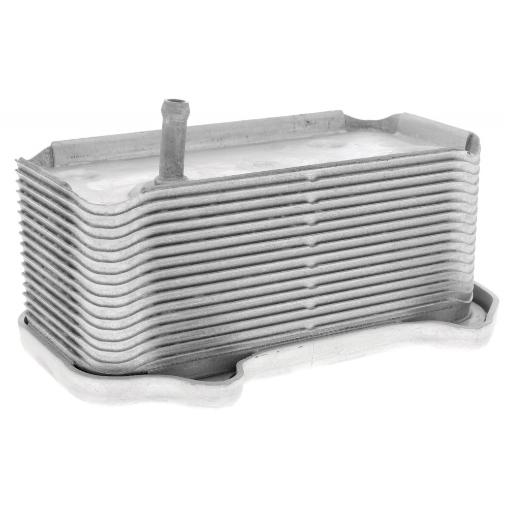 Oil Cooler, engine oil