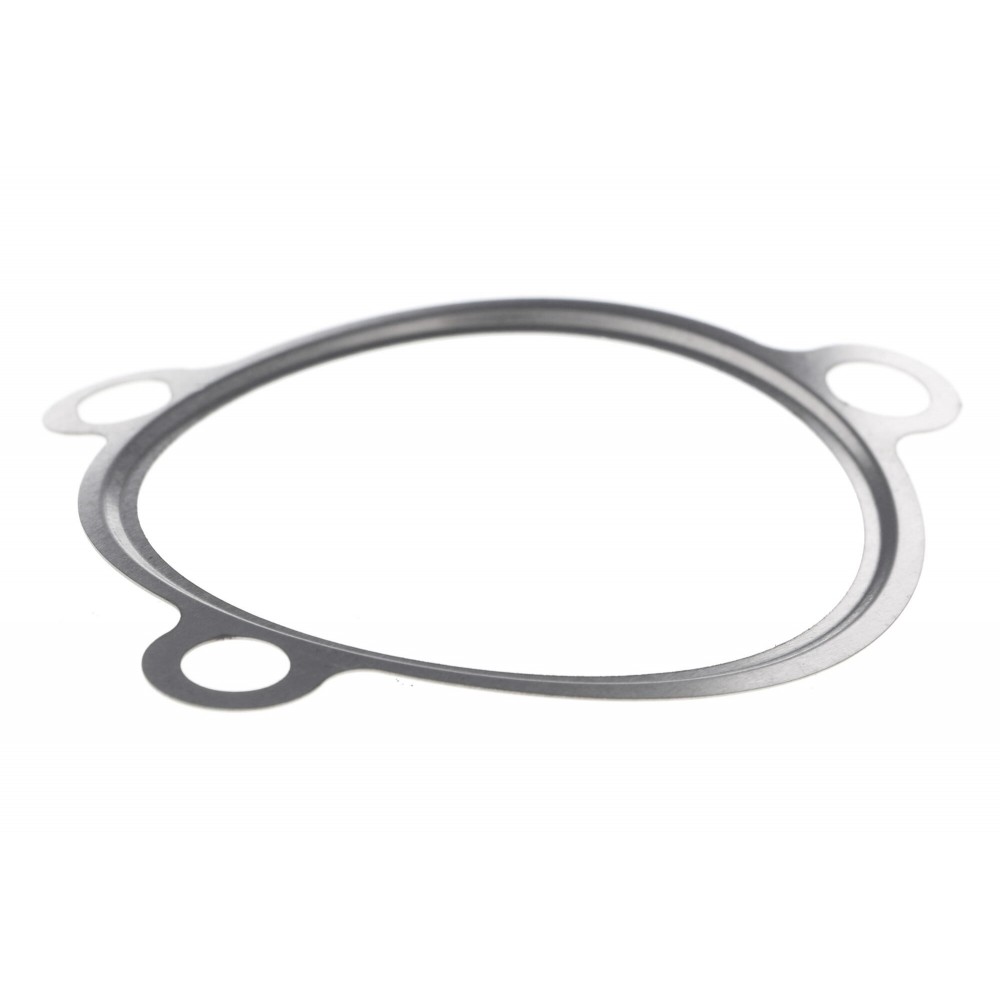 Gasket, EGR valve